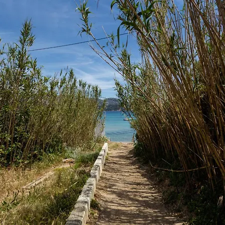 Cap Negre - Domaine De La Pinede-21 By Interhome Appartement